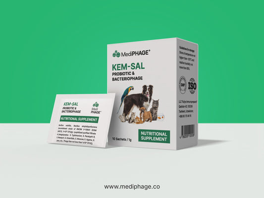Feed supplement - KEM Sal